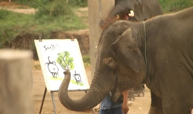 CMLocals Chiang Mai Locals Blacklist Status serious immigration violation warning